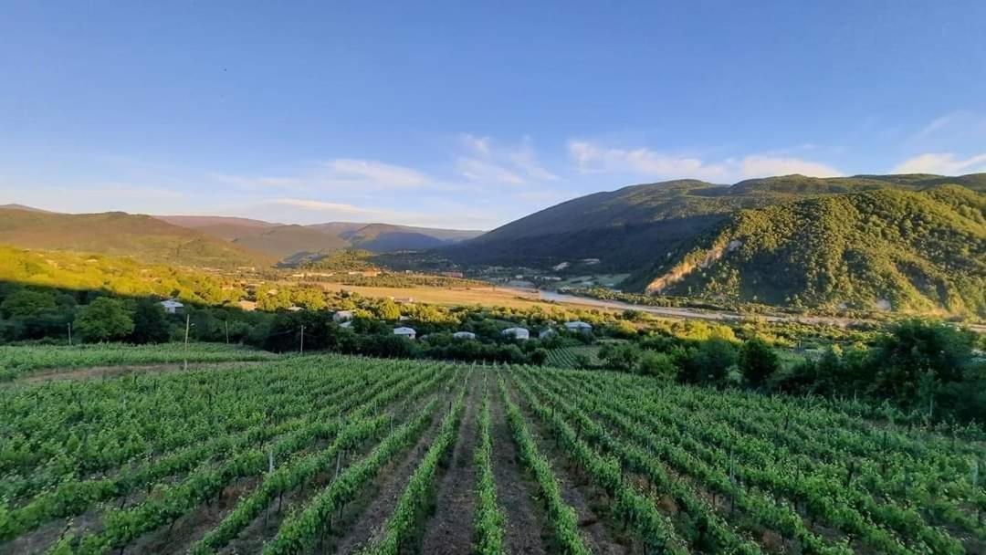Chateau Dio أمبرولاوري المظهر الخارجي الصورة