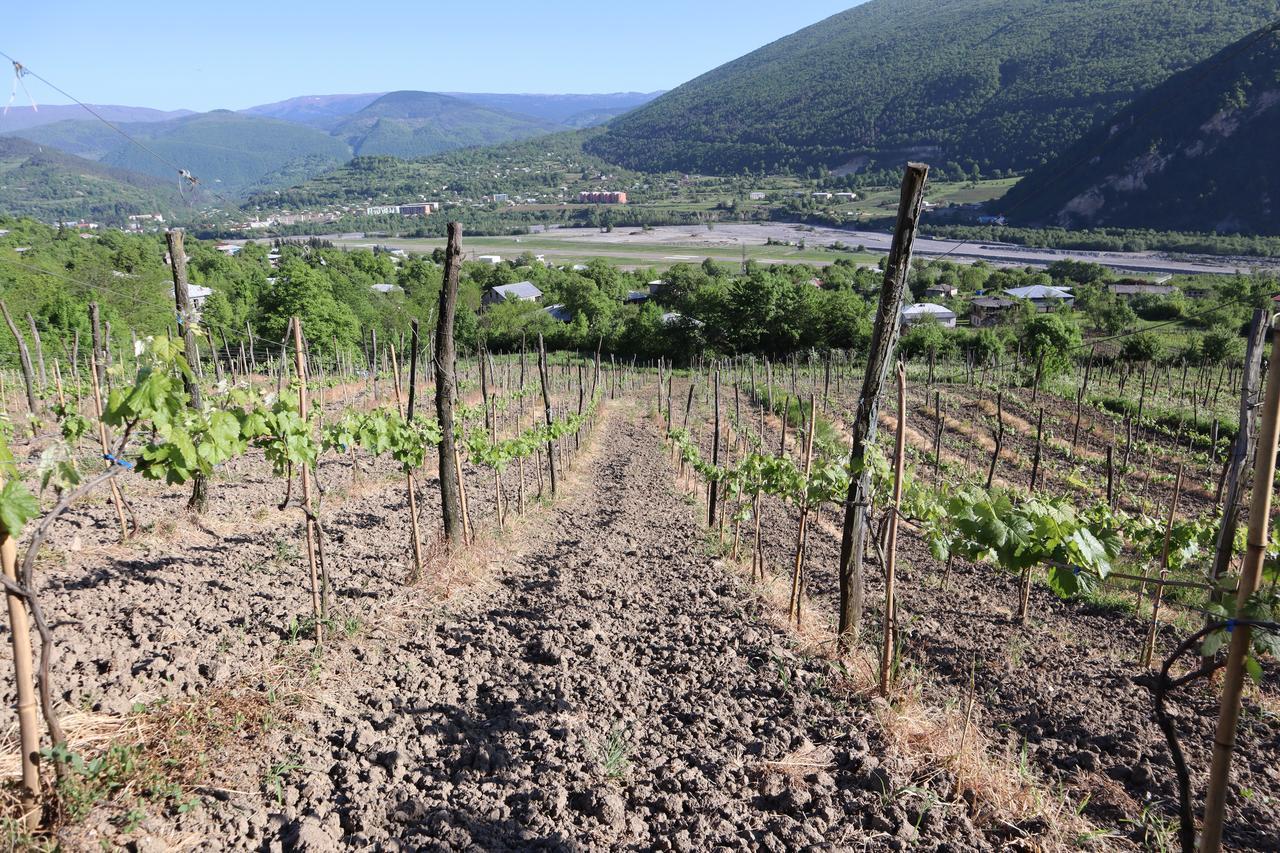 Chateau Dio أمبرولاوري المظهر الخارجي الصورة