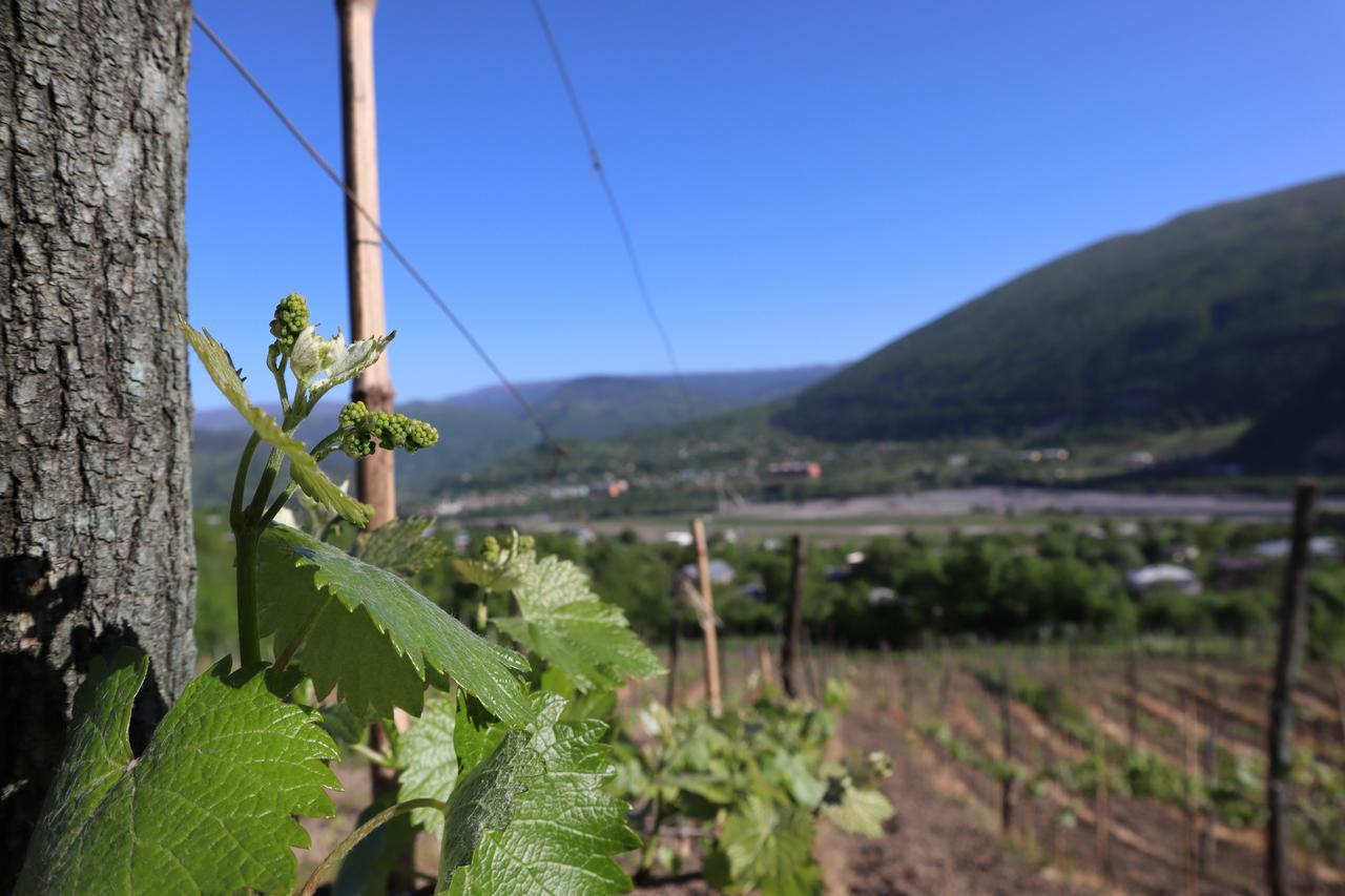 Chateau Dio أمبرولاوري المظهر الخارجي الصورة